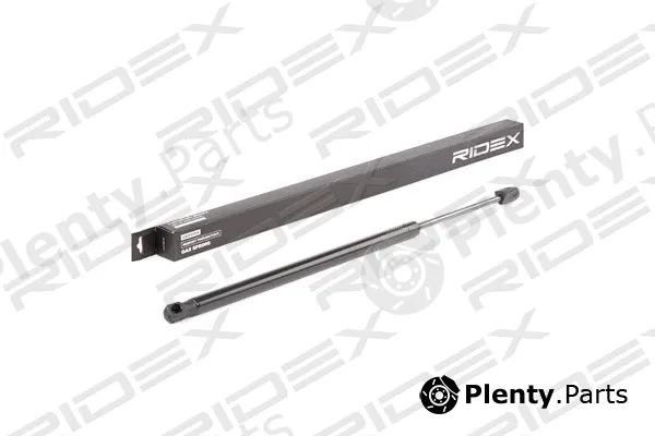 Ridex 219G0607 — Gas Spring, boot/cargo area