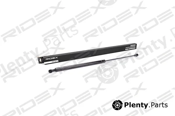 Ridex 219G0046 — Gas Spring, boot/cargo area