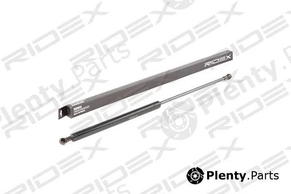 Ridex 219G0548 — Gas Spring, boot/cargo area