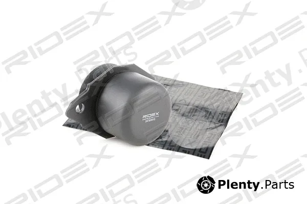 Ridex 247E0013 — Mounting, engine
