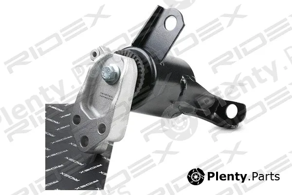 Ridex 247E0438 — Mounting, engine