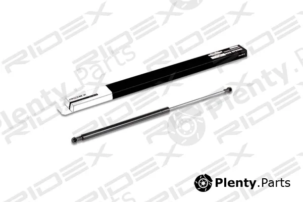 Ridex 219G0198 — Gas Spring, boot/cargo area