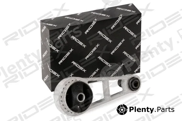Ridex 247E0184 — Mounting, engine