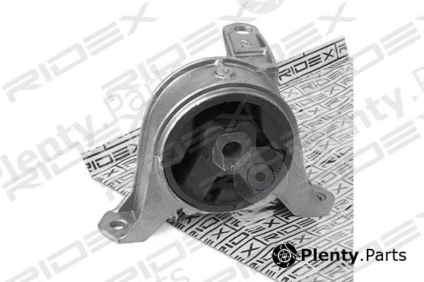 Ridex 247E0174 — Mounting, engine