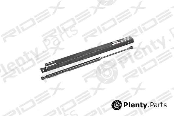 Ridex 219G0180 — Gas Spring, boot/cargo area