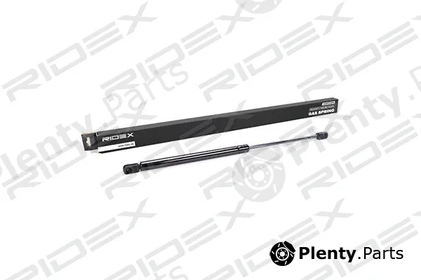 Ridex 219G0181 — Gas Spring, boot/cargo area
