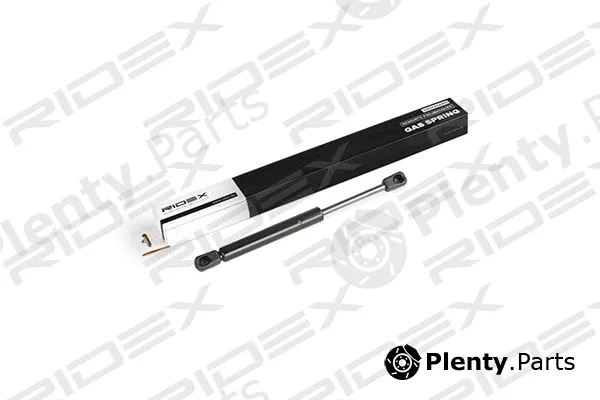 Ridex 219G0541 — Gas Spring, boot/cargo area
