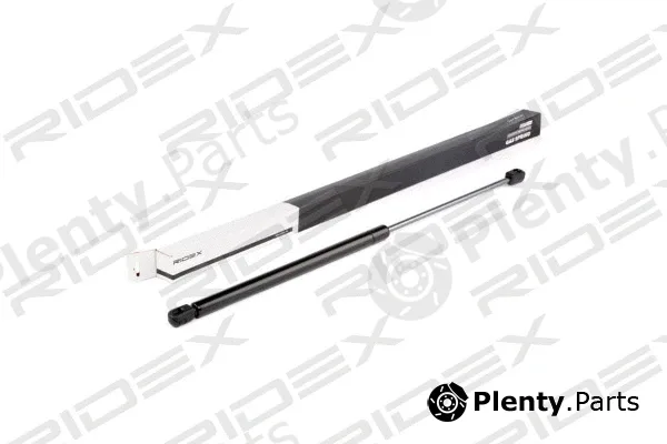 Ridex 219G0496 — Gas Spring, boot/cargo area