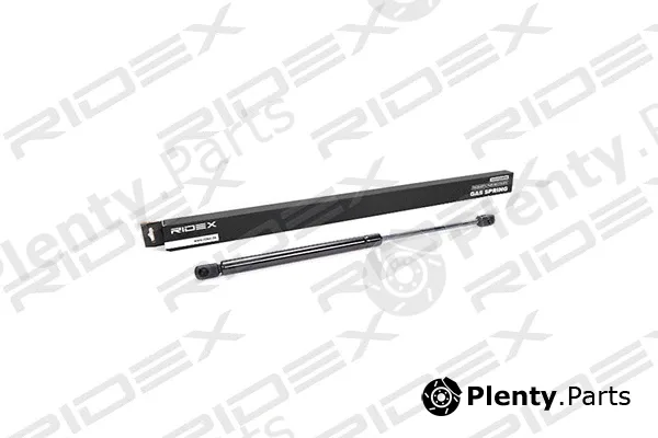Ridex 219G0091 — Gas Spring, boot/cargo area