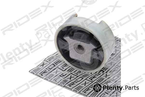 Ridex 247E0008 — Mounting, engine