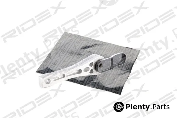 Ridex 247E0012 — Mounting, engine