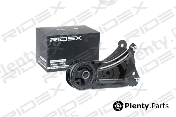 Ridex 247E0221 — Mounting, engine