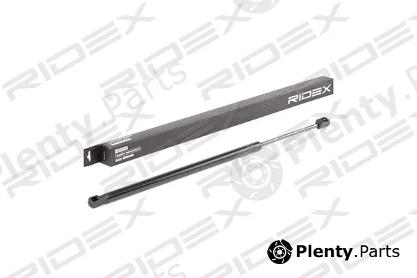 Ridex 219G0804 — Gas Spring, boot/cargo area