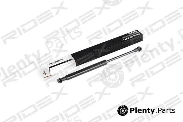 Ridex 219G0637 — Gas Spring, boot/cargo area