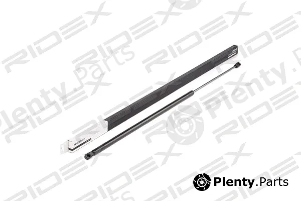 Ridex 219G0598 — Gas Spring, boot/cargo area