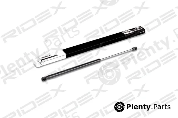 Ridex 219G0146 — Gas Spring, boot/cargo area