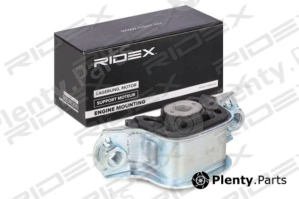 Ridex 247E0131 — Mounting, engine