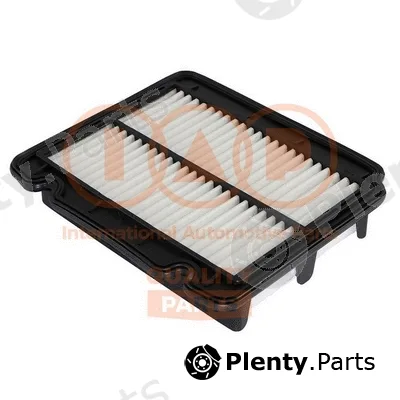 Iap Quality Parts 121-20080 — Air Filter