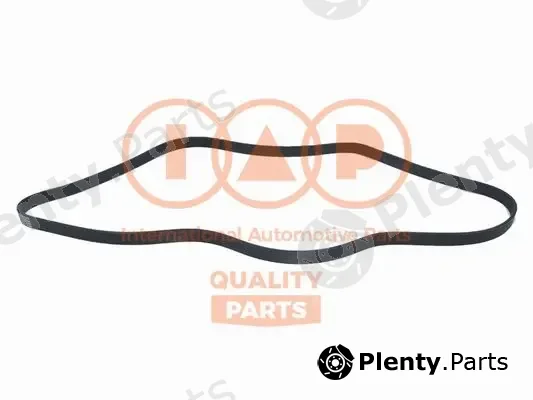 Iap Quality Parts 140-14072 — V-Ribbed Belt