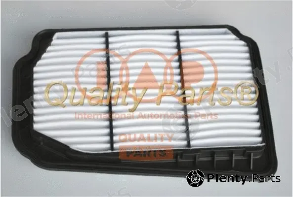 Iap Quality Parts 121-20051G — Air Filter