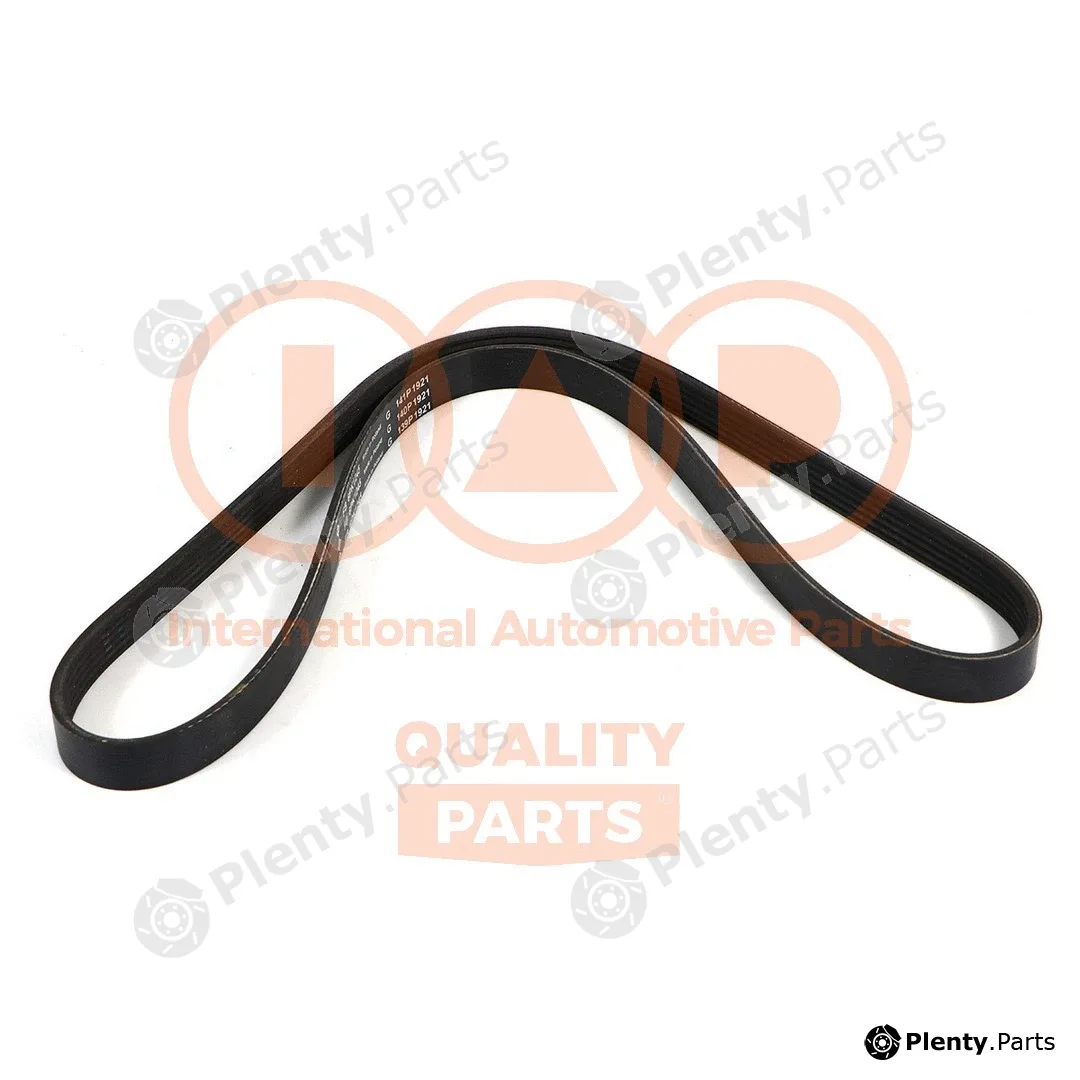 Iap Quality Parts 140-17101 — V-Ribbed Belt