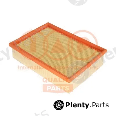 Iap Quality Parts 121-06021 — Air Filter