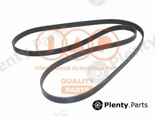 Iap Quality Parts 140-18030 — V-Ribbed Belt