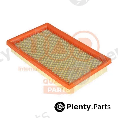 Iap Quality Parts 121-06080 — Air Filter