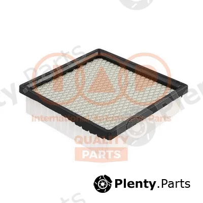 Iap Quality Parts 121-06060 — Air Filter