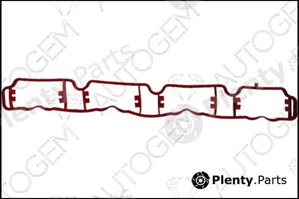 Autogem CSM4203 — Gasket, intake manifold