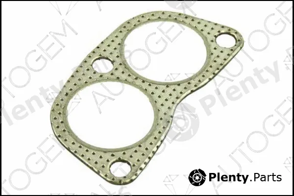 Autogem CEG250 — Gasket, exhaust pipe