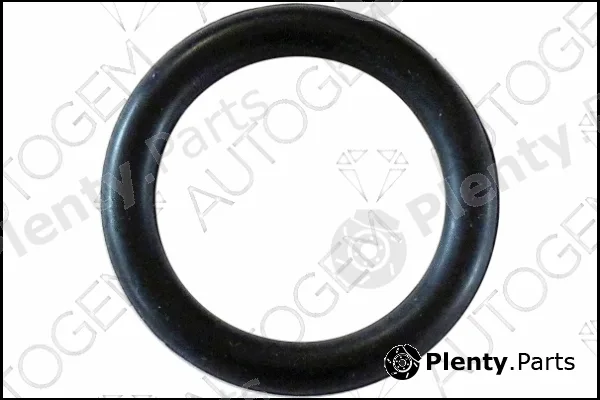 Autogem CSM575 — Gasket, intake manifold