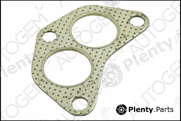 Autogem CEG100 — Gasket, exhaust pipe