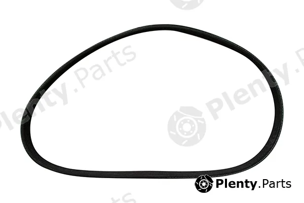 BRÜCK Germany 037903137E — V-Ribbed Belt