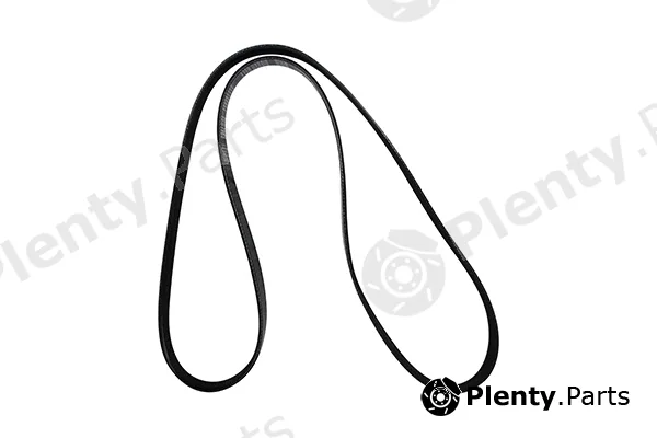 BRÜCK Germany 377145271 — V-Ribbed Belt