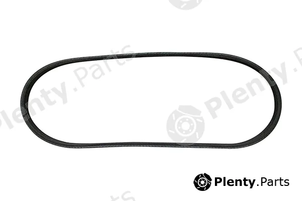 BRÜCK Germany 5072279AA — V-Ribbed Belt