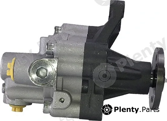 4X4 Estanfi BDD-10-006 — Hydraulic Pump, steering