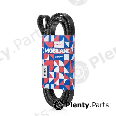 Mobiland 501262513 — V-Ribbed Belt