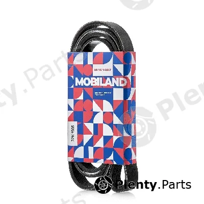 Mobiland 501271905 — V-Ribbed Belt