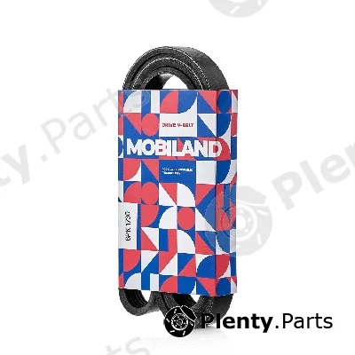 Mobiland 6PK1730 — V-Ribbed Belt