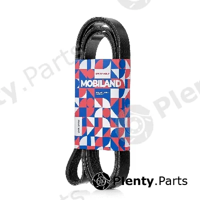 Mobiland 501282410 — V-Ribbed Belt