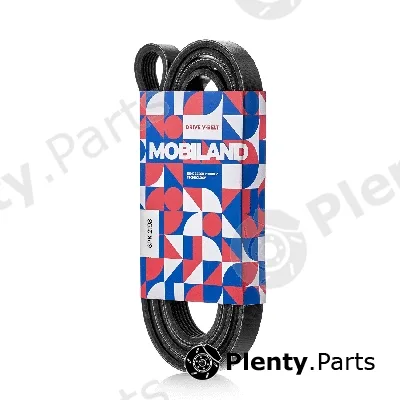 Mobiland 501262198 — V-Ribbed Belt