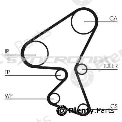 Syncronix SY1101092PE — Water Pump & Timing Belt Kit