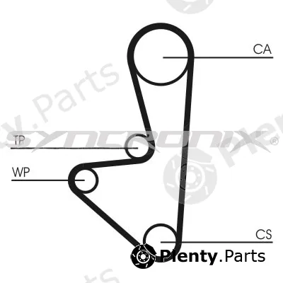 Syncronix SY1101067PE — Water Pump & Timing Belt Kit