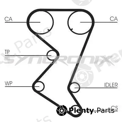 Syncronix SY1101138PE — Water Pump & Timing Belt Kit