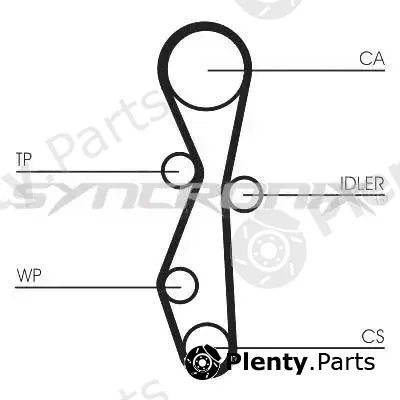Syncronix SY1101142PE — Water Pump & Timing Belt Kit