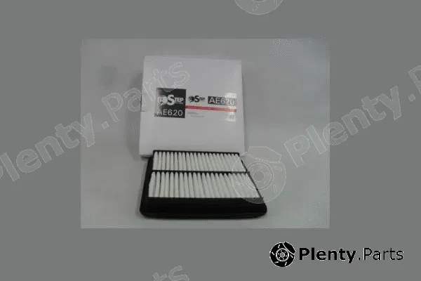 Step Filters AE620 — Air Filter