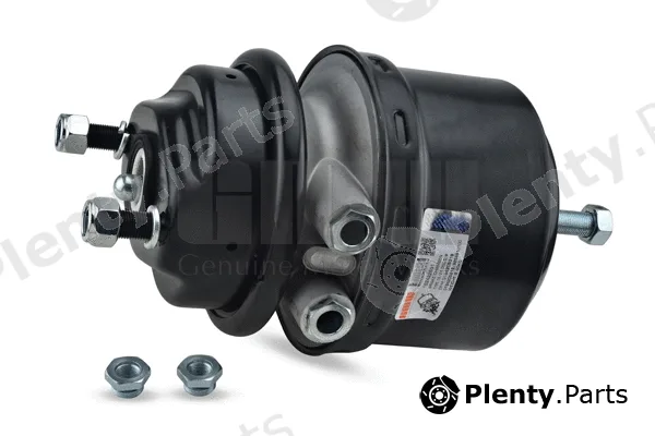 GMW 162422571 — Spring-loaded Cylinder