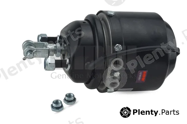 GMW 121612571 — Spring-loaded Cylinder