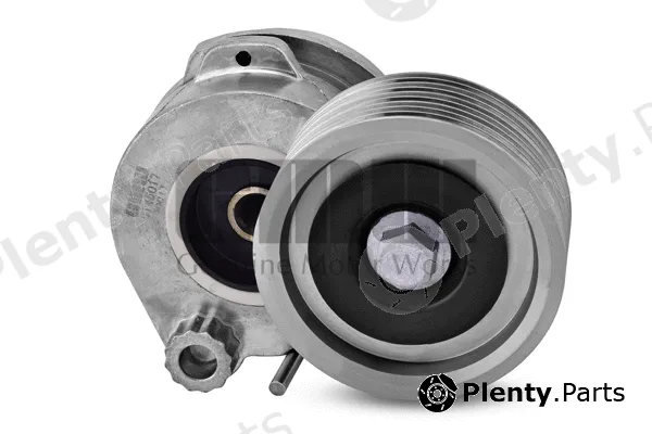 GMW GT45017 — Belt Tensioner, V-ribbed belt